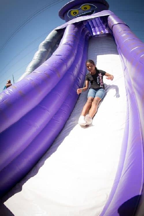 Texas Twister Slide