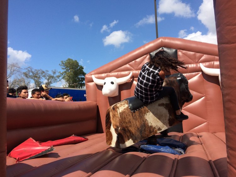 Mechanical Bull