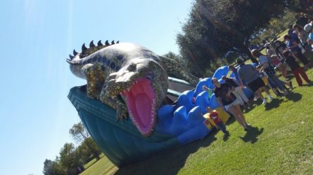 Inflatables & Waterslides Inflatables & Waterslides