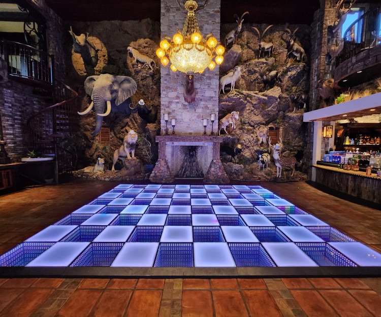 20x18 Dance Floor